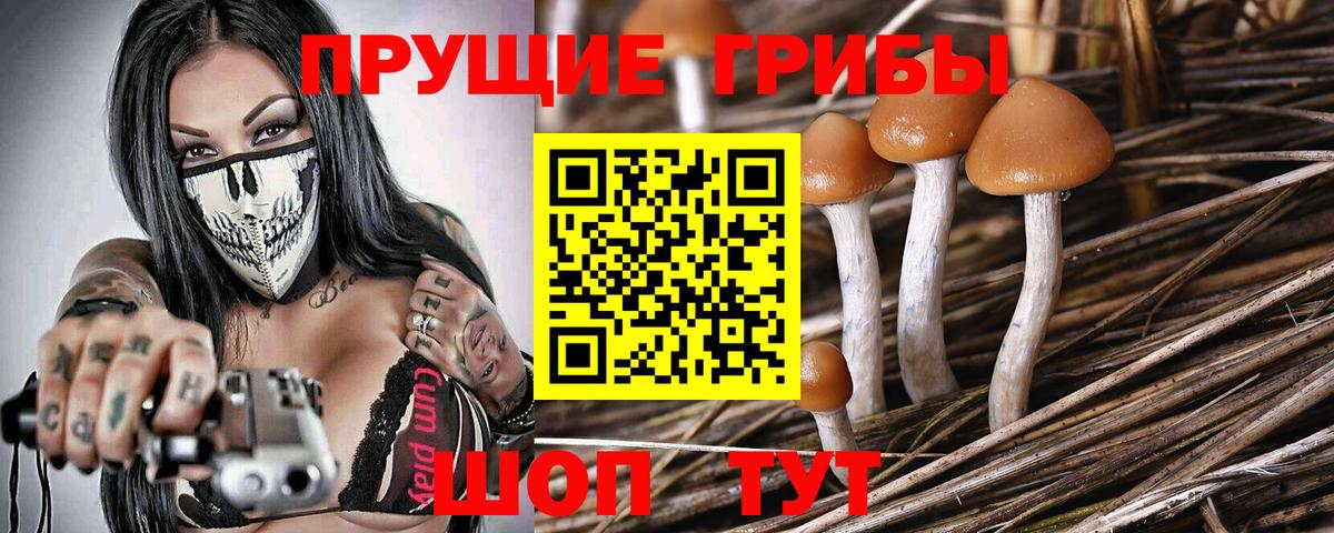 Галлюциногенные грибы Cubensis  Галлюциногенные грибы мицелий  Ревда  Вход с VPN 